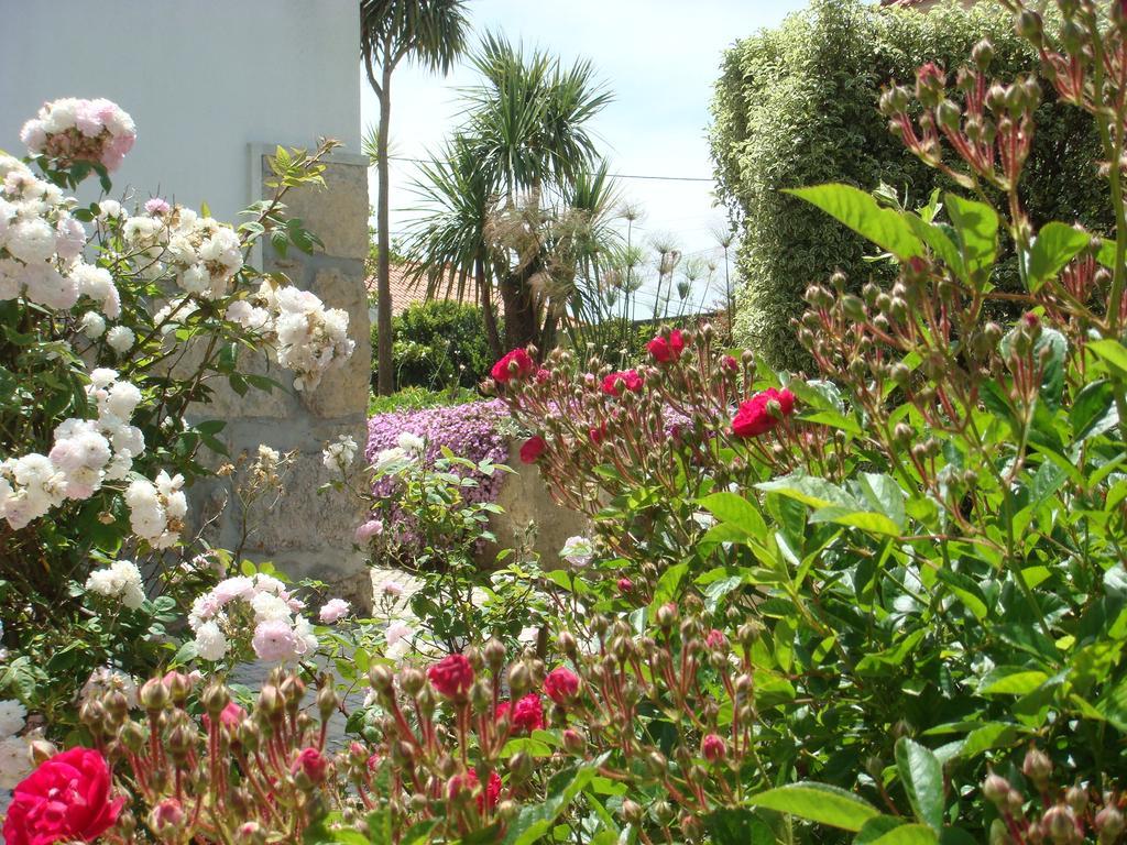 Casa De Hospedes Flor Do Jardim Malveira Exterior photo